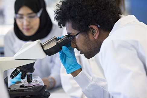 Student examining petri dishes using a microscope
