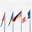 EU students starting in 2020-2021 retain 'home' fee status