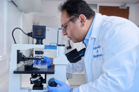 Professor Rameen Shakur looking into a microscope