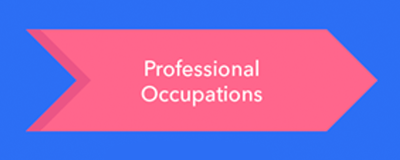 Professional Occupation